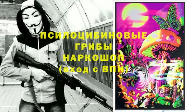 хмурый Верхний Тагил