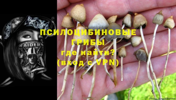 хмурый Верхний Тагил